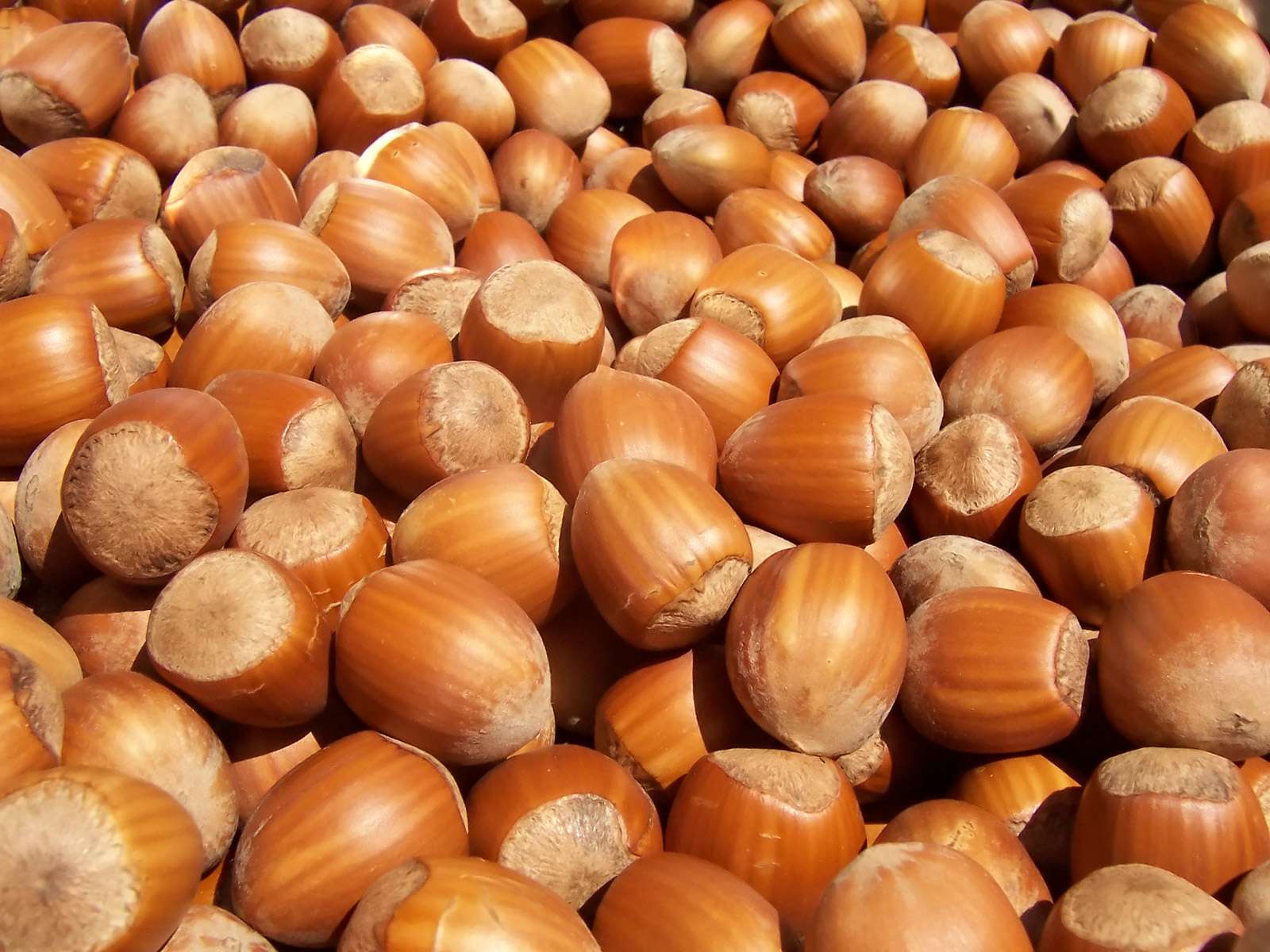 Konsumoni lajthi për shëndet më të mirë