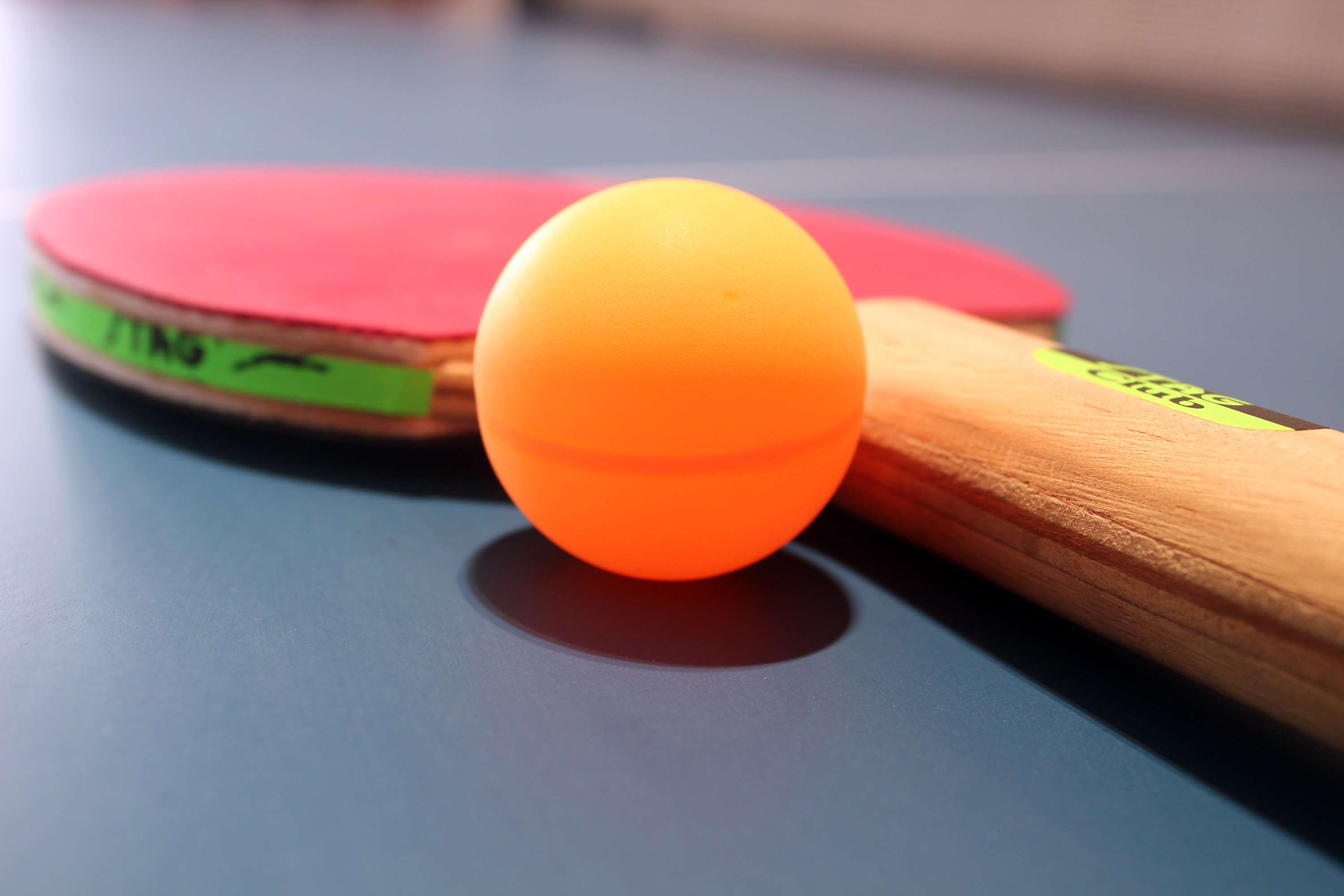 Pingpong: Fillon sezoni vjeshtor me pajise të reja