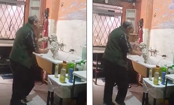 Përmbahuni: Qeni vallëzon bashkë me kujdestarin e tij (VIDEO)