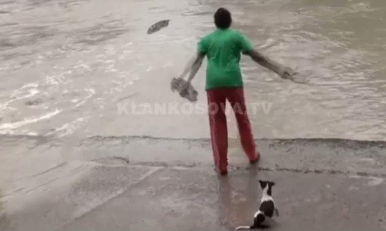 Tremb krokodilin me sandale (VIDEO)