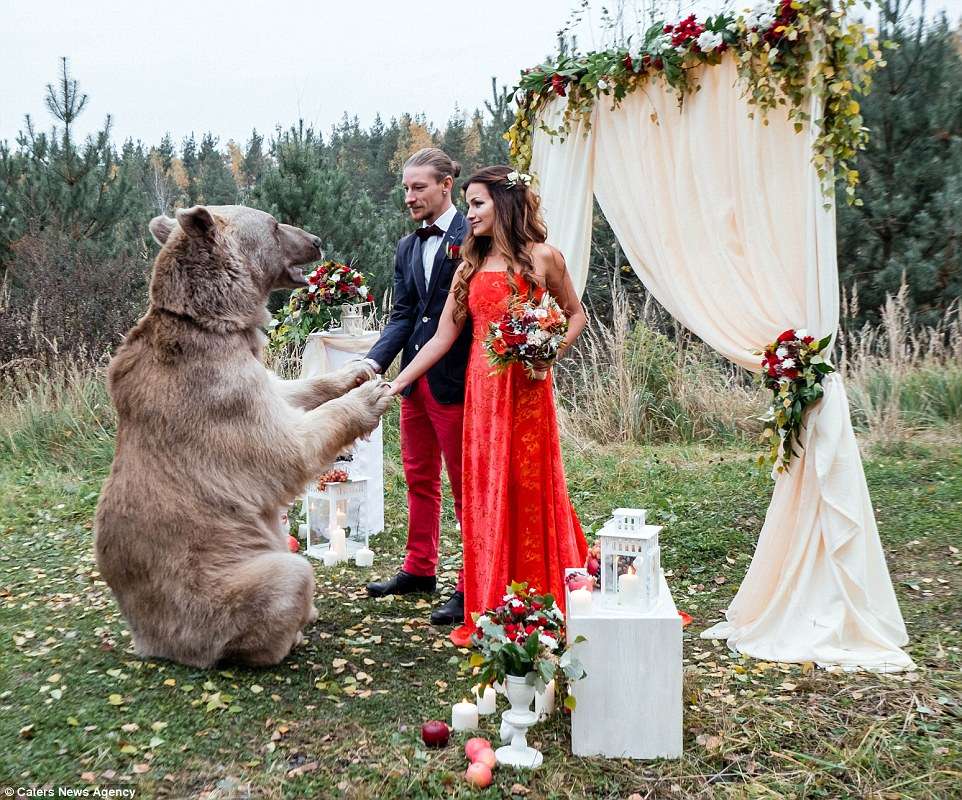 39E6BFB900000578-3889626-The_bear_was_very_involved_with_the_ceremony_posing_for_photos_w-m-34_1477918064367