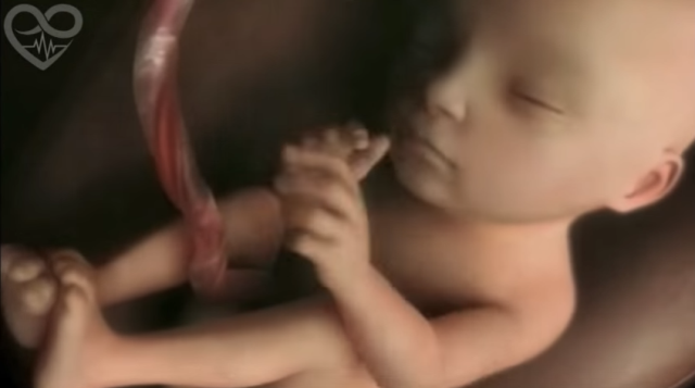 Nëntë muaj të shtatzënisë në katër minuta (VIDEO)