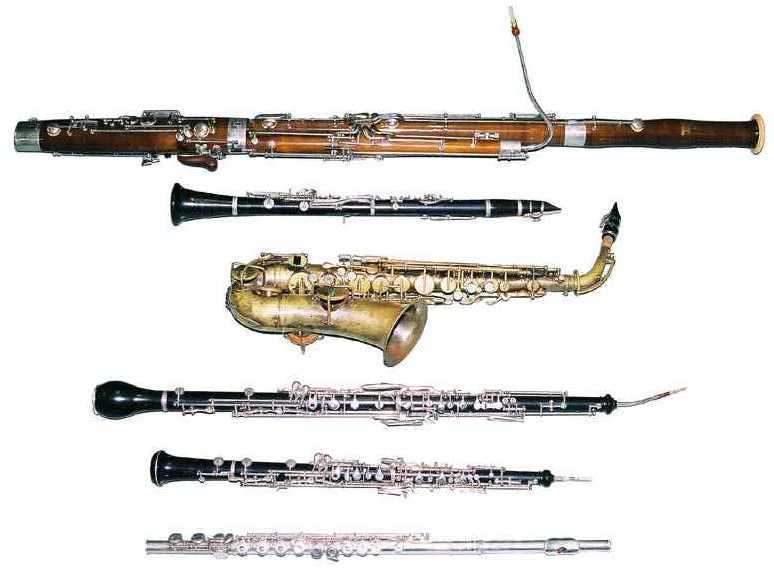 Instrumentistët nga tërë Kosova testohen në Gjakovë