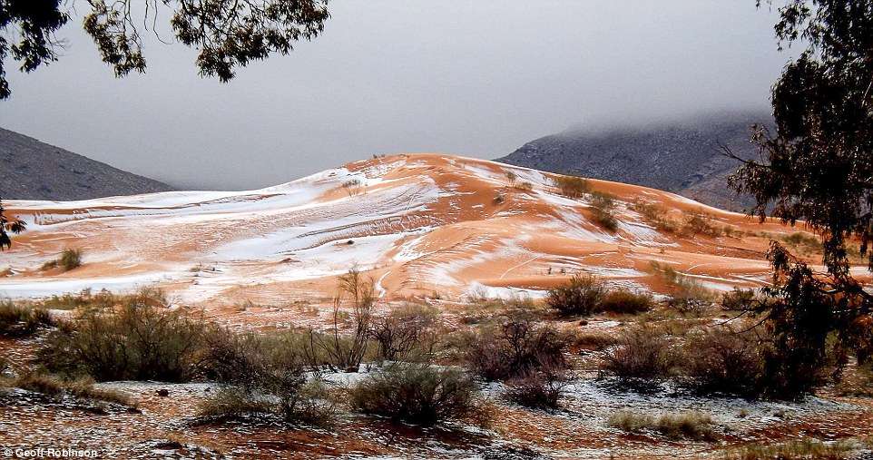 3b88fcfd00000578-4051448-karim_captured_the_amazing_moment_snow_fell_on_the_red_sand_dune-a-79_1482235554953