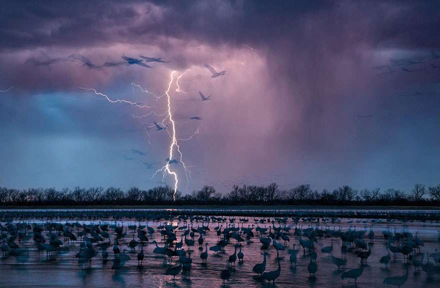 National Geographic zgjedhë fotografitë e vitit (FOTO)