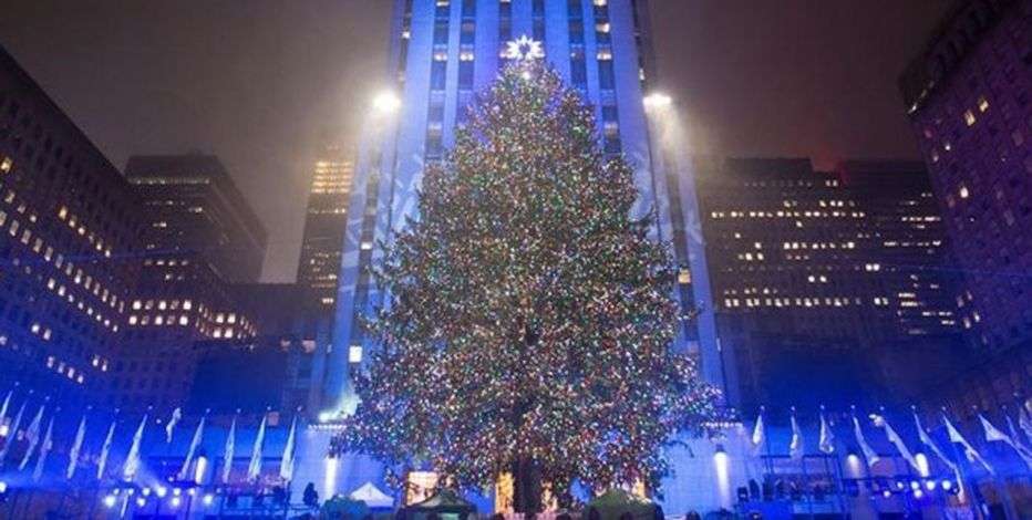 Pema e Krishtlindjeve në New York ndriçohet me 50 mijë drita (FOTO)