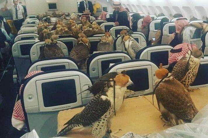 Princi i Arabisë, skifterëve: Shijojeni avionin (FOTO)