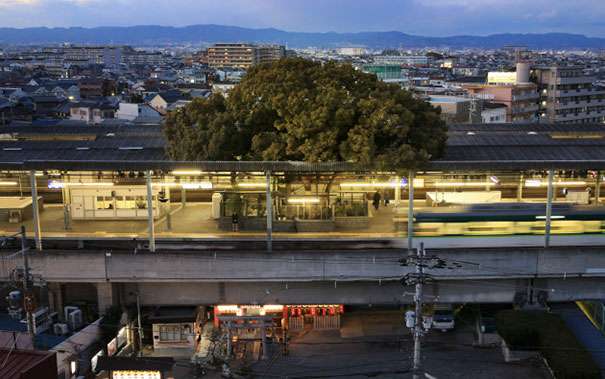 Druri gjigant mes një stacioni treni në Japoni, ka një histori