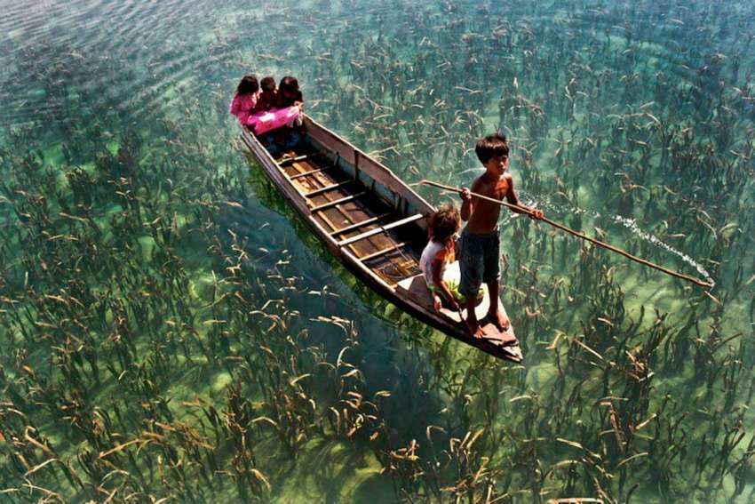 Fotografi që shpalosin bukuritë e jetës
