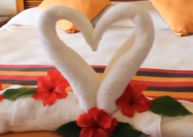 Mënyrë interesante për të bërë mjellmat nga peshqirët (VIDEO)
