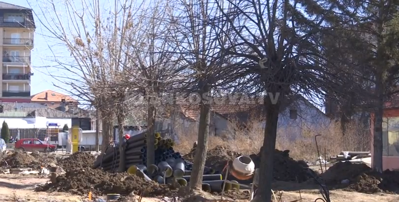 Lipjani pyet qytetarët për largimin e pemëve të vjetra (VIDEO)