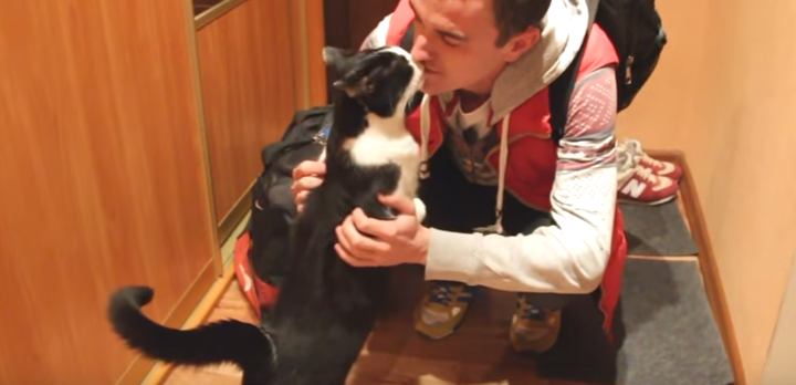 Reagimi i maces kur takon pronarin e saj pas një kohe të gjatë (VIDEO)
