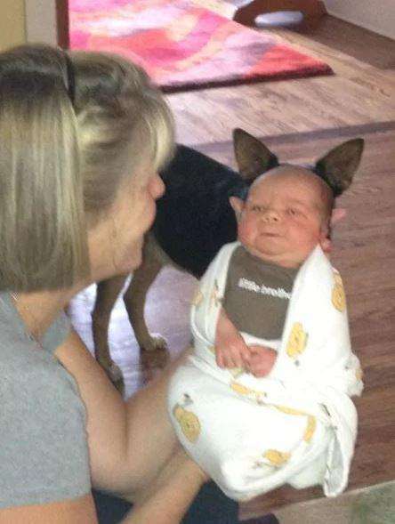 Fotografitë që ju bëjnë të qeshni me lot