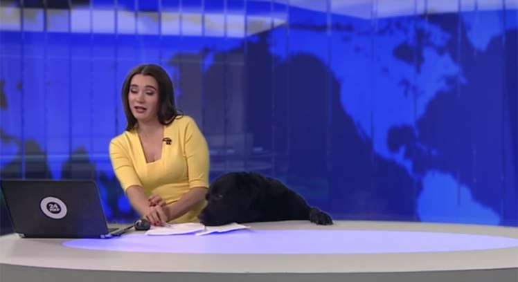 Qeni i futet në studio moderatores televizive (VIDEO)