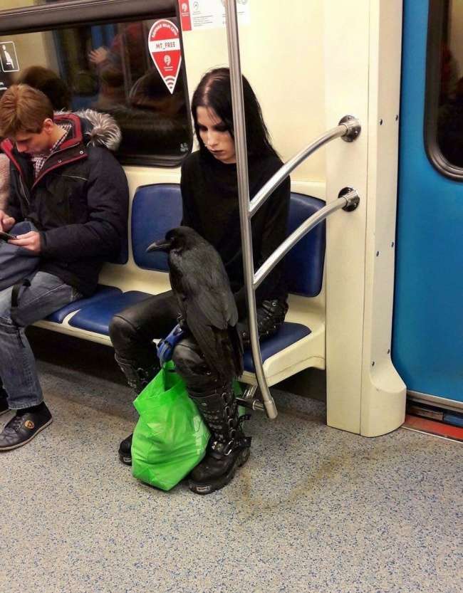 Gjërat interesante që shihni kur udhëtoni (FOTO)