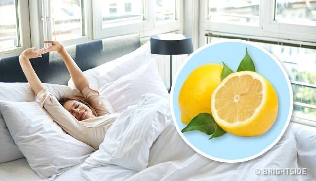 Cilat janë përfitimet nëse vendosni një pjesë limoni në dhomën tuaj?