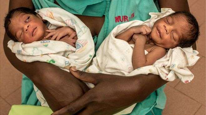 Foshnjat binjakë më të rrezikuarat në Afrikën Subsahariane