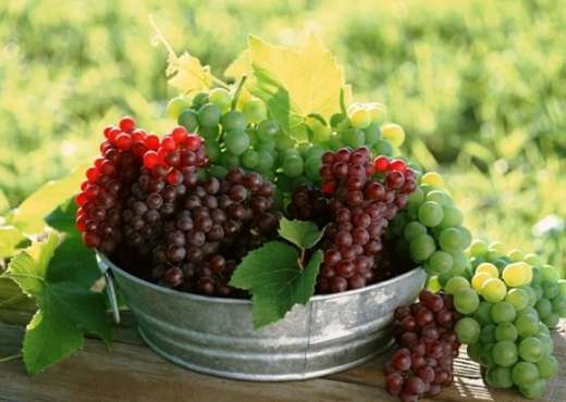 Rrushi, frut i mrekullive për zemrën dhe tumoret