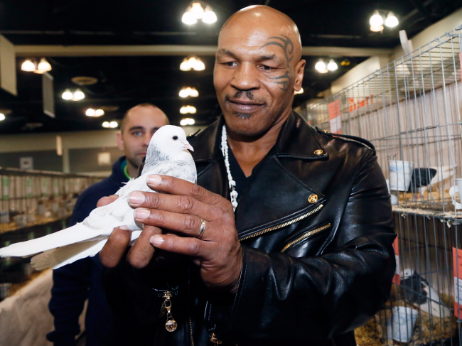 McGregor vs. Mayweather: Tyson i dha parashikimet!