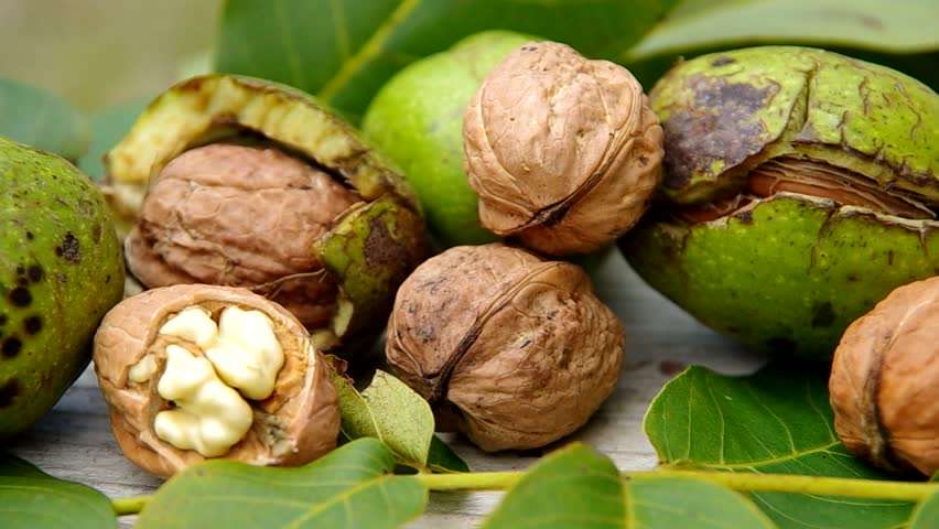 Receta e vjetër ruse që zhduk qimet përgjithmonë