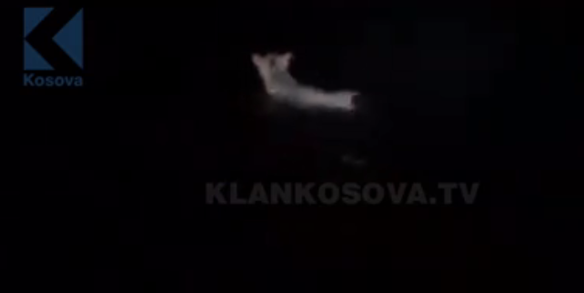 Macja e egër kapet duke peshkuar në liqenin e Komanit