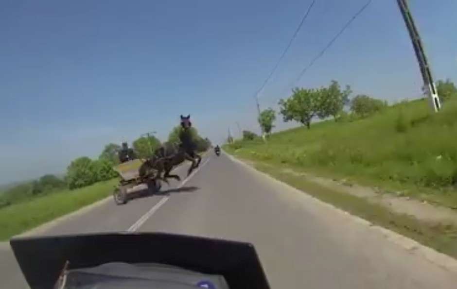 Të shpëtosh për pak... (VIDEO)