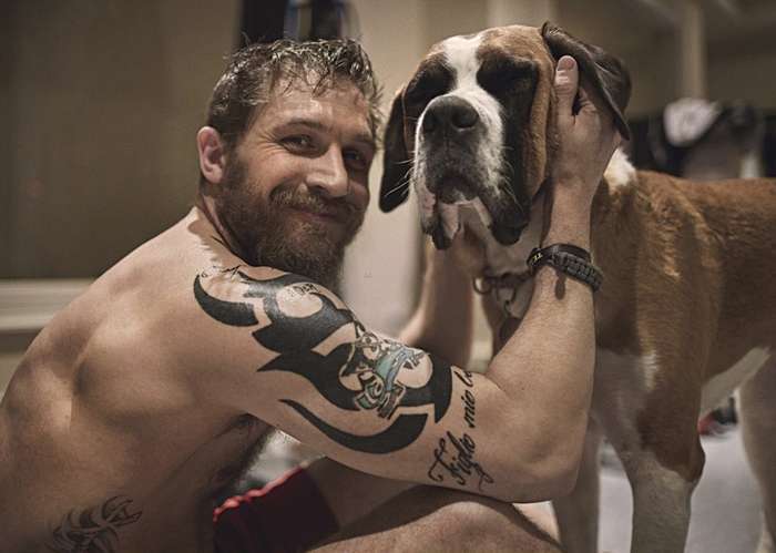 Tom Hardy dhe dashuria e tij për qentë (FOTO)