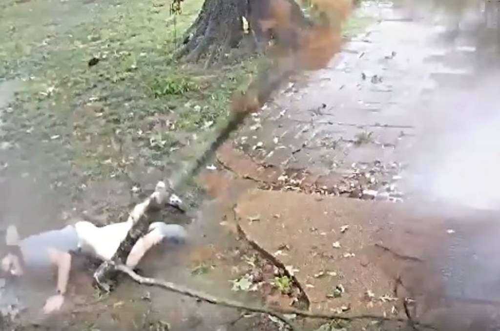 A është ky njeriu më fatlum në botë (VIDEO)