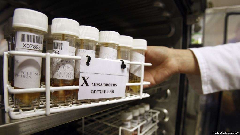 Rreziku i një bote pa antibiotikë