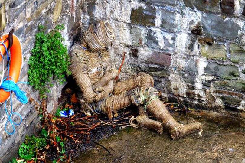 Gjendet një “mumie” pranë lumit (FOTO)