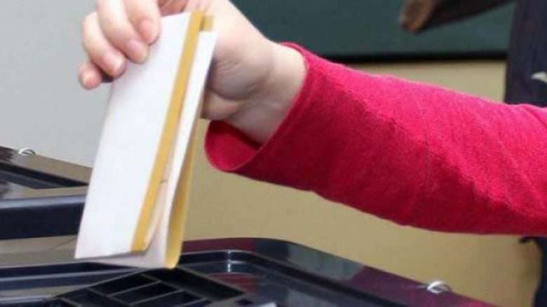 Vlerësimi i zgjedhjeve, vëzhguesit: Task Forca nuk funksionoi