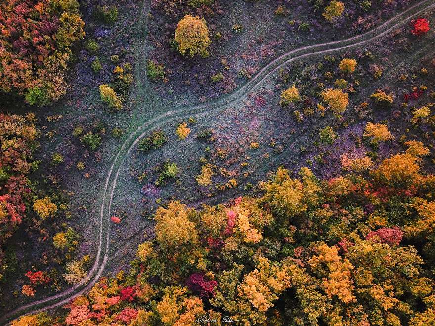 Bukuritë e vjeshtës në Hungari (FOTO)