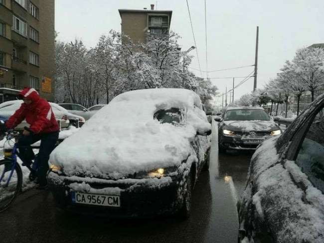 Kur përtacia kalon kufijtë (FOTO)