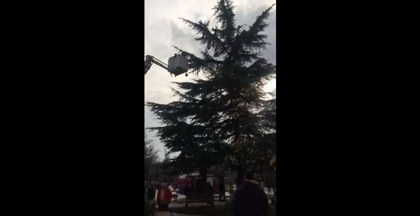 Kush mendoi për dekorimin e Pejës? (Video)