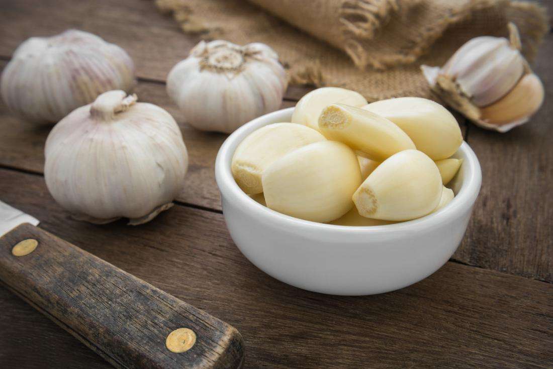 Hudhra bllokon kancerin, një ekip shkencëtarësh zbulon si