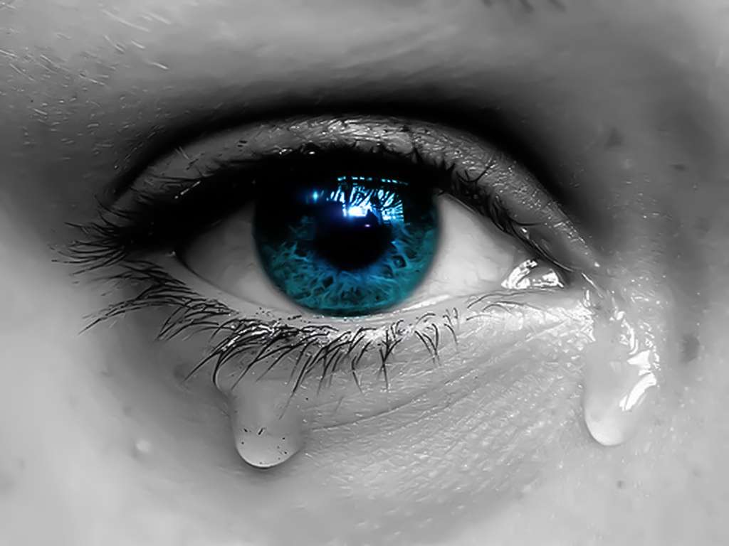 Lotët janë shenjë e stabilitetit emocional