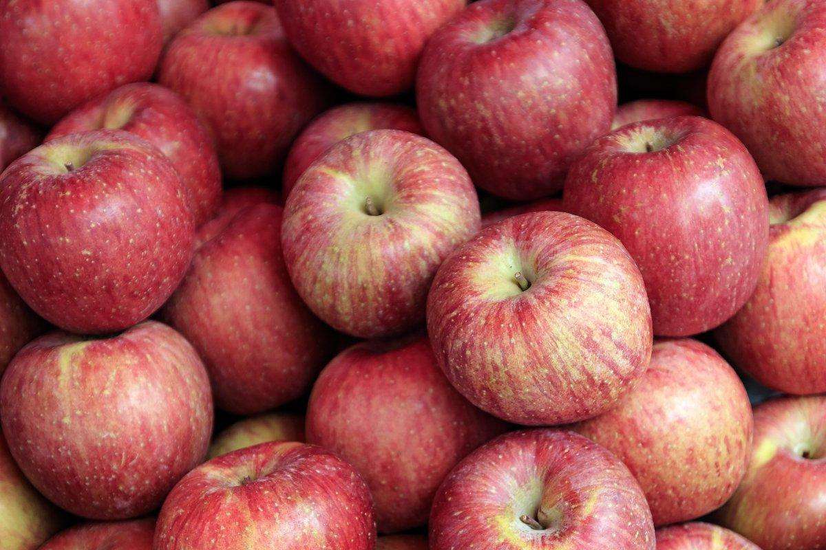 Hani këto fruta t’i mbani mushkëritë të reja
