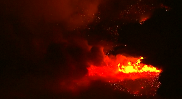Momenti kur lepuri shpëtohet nga zjarri në California (VIDEO)