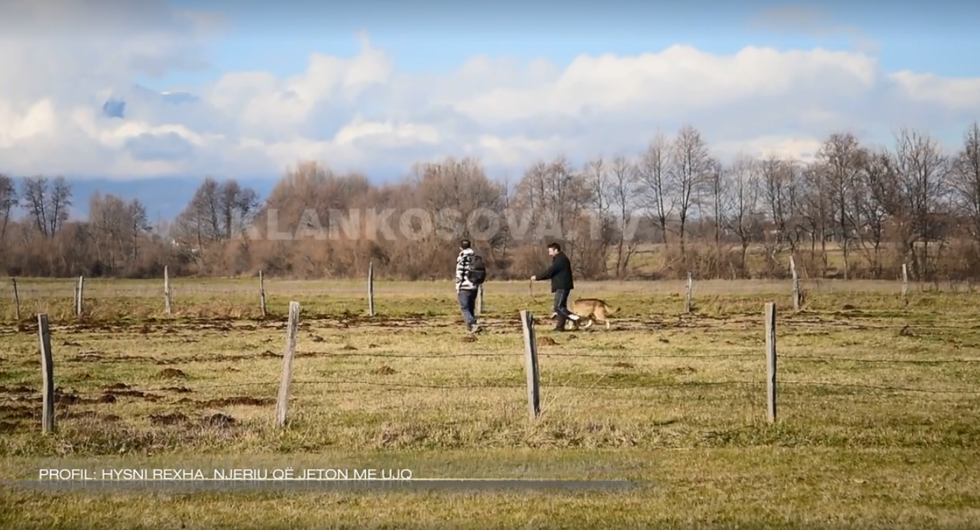 Kosovari që ia la emrin ujkut Trump (VIDEO)