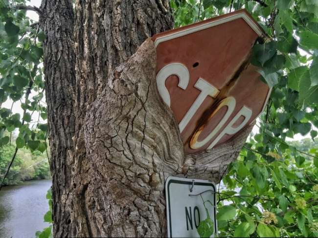 Fotografi që dëshmojnë se natyra është më e fuqishme se njeriu
