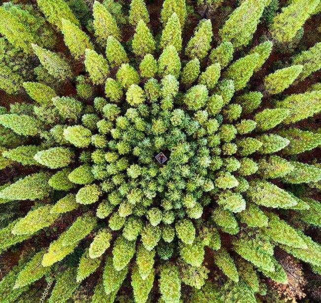 Nuk ka asgjë të përsosur, por këto fotografi dëshmojnë të kundërtën