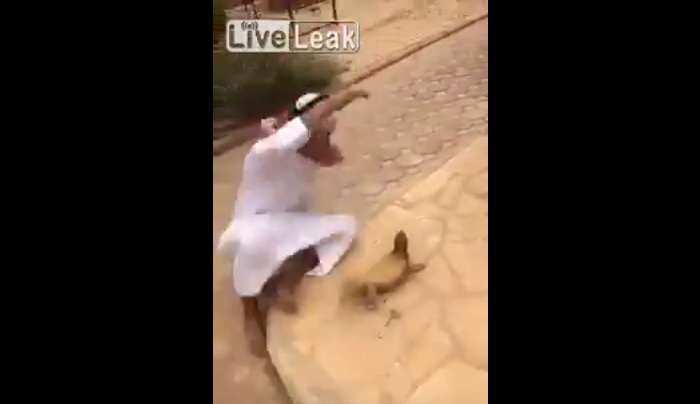 Luan me hardhucën, mendon se është e ngordhur (Video)