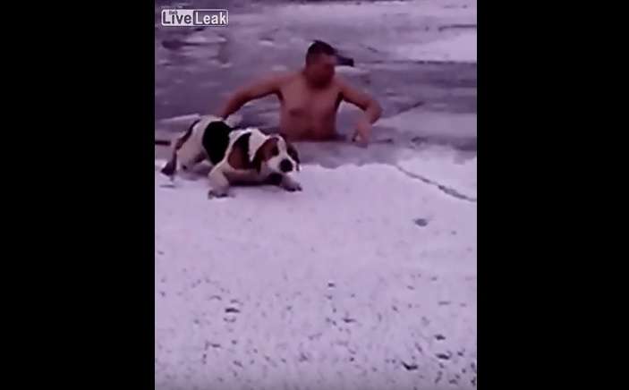 Rrezikon jetën për ta shpëtuar qenin (Video)