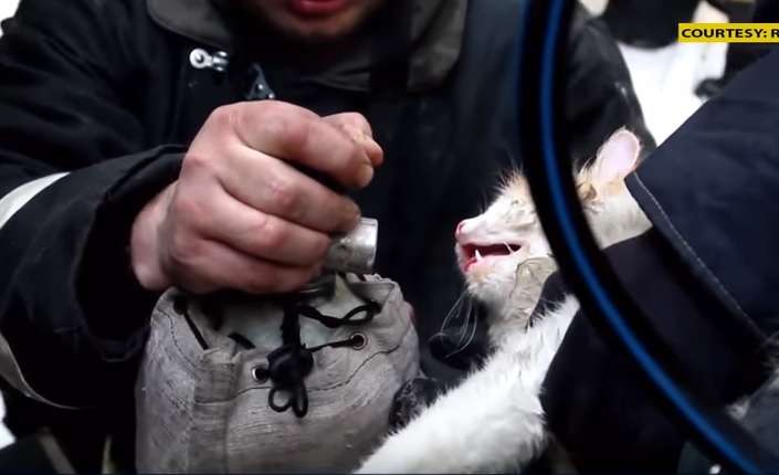 Zjarrfikësit kthejnë në jetë macen e asfiksuar (Video)