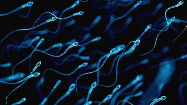Meshkujt me sasi të ulët të spermës më të rrezikuar nga sëmundjet