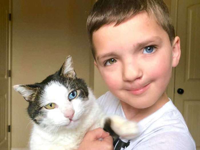 Shtatëvjeçari gjen macen njësoj sikur vetja (FOTO)