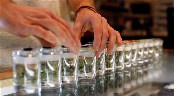 Marihuana mjekësore redukton recetat me opioid