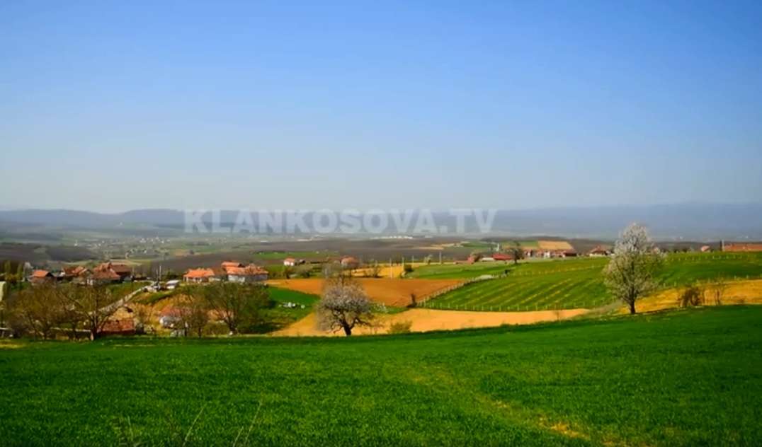 Historia e fshatit Dyz dhe e bungut qindravjeçar (VIDEO)