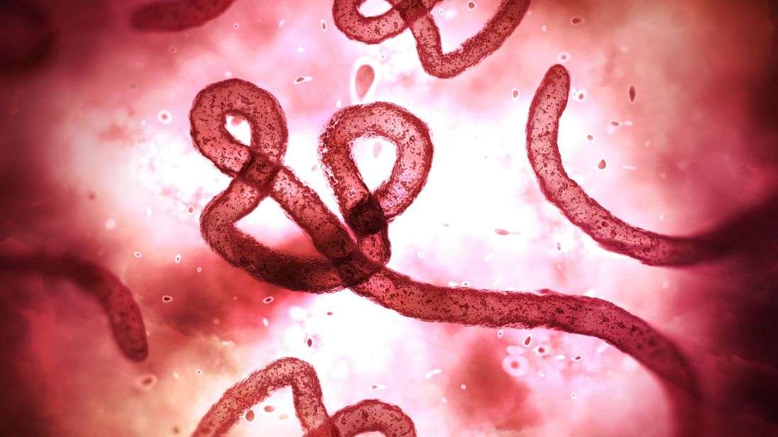 Rikthehet Ebola në Congo, konfirmohen dy raste