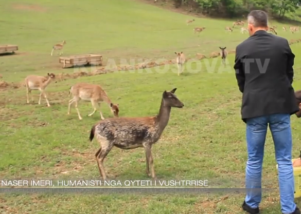 Naser Imeri, humanisti i qytetit të Vushtrrisë (VIDEO)
